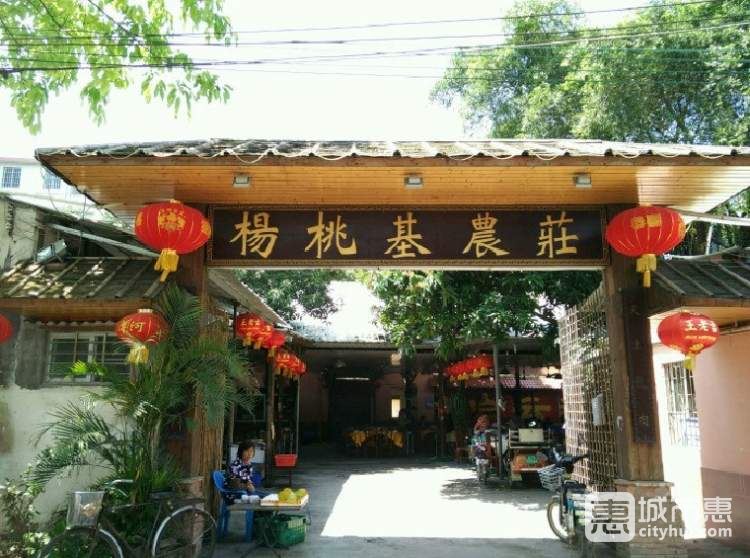 杨桃基农庄