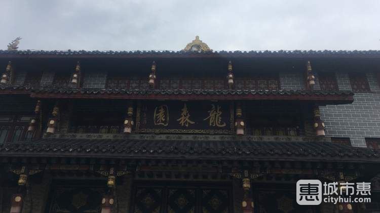 龙森园