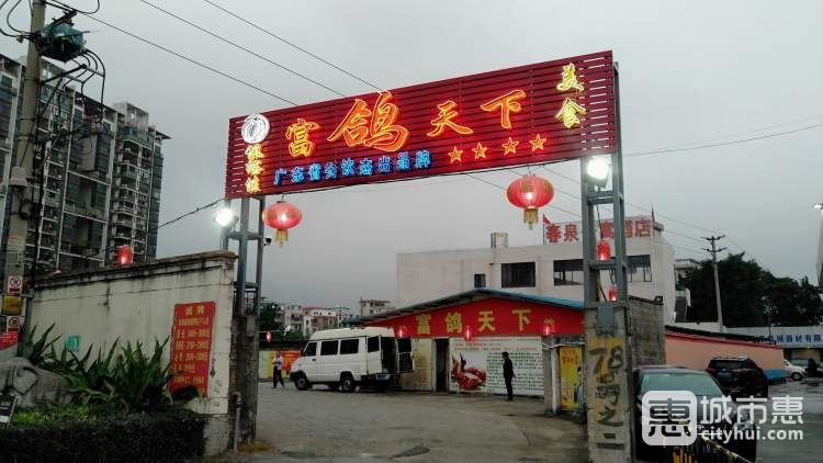 富鸽天下