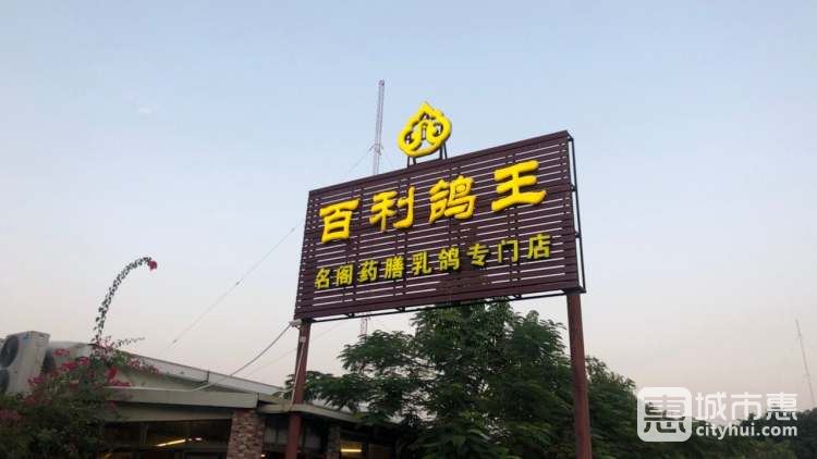 百利鸽王