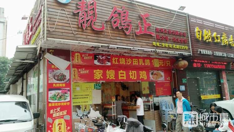 靓鸽正